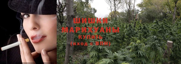 крисы Бугульма