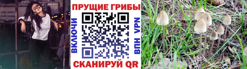 Псилоцибиновые грибы прущие грибы  Игра 